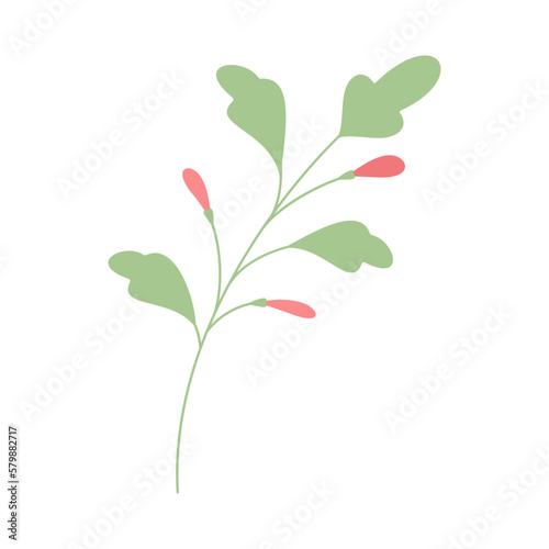 Decorative green leaves. Hand drawn decorative elements. Vector illustration