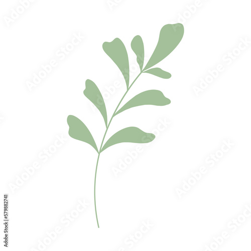 Decorative green leaves. Hand drawn decorative elements. Vector illustration