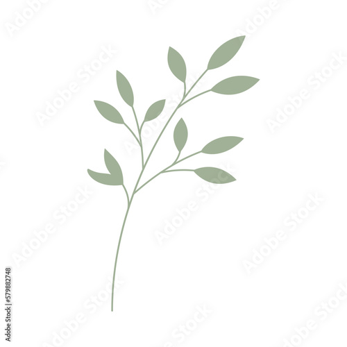 Decorative green leaves. Hand drawn decorative elements. Vector illustration