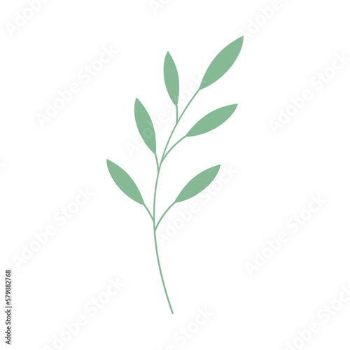 Decorative green leaves. Hand drawn decorative elements. Vector illustration