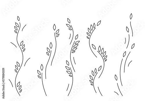 Vines and leaves universal collection isolated on white background. Stylized vertical plants and shoots silhouette for border, frame, interior design, card or other using. Vector illustration. Set.