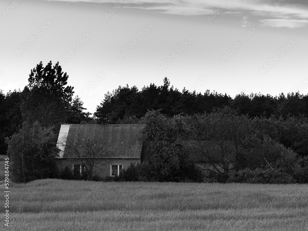 Obraz premium old house in the forest