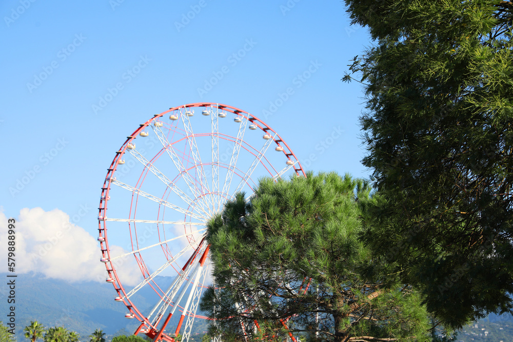 Beautiful large Ferris wheel near trees outdoors