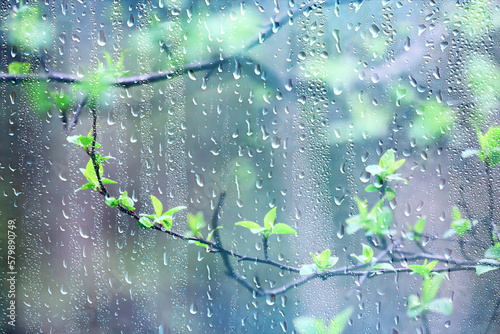 spring rain green  springtime wet abstract background