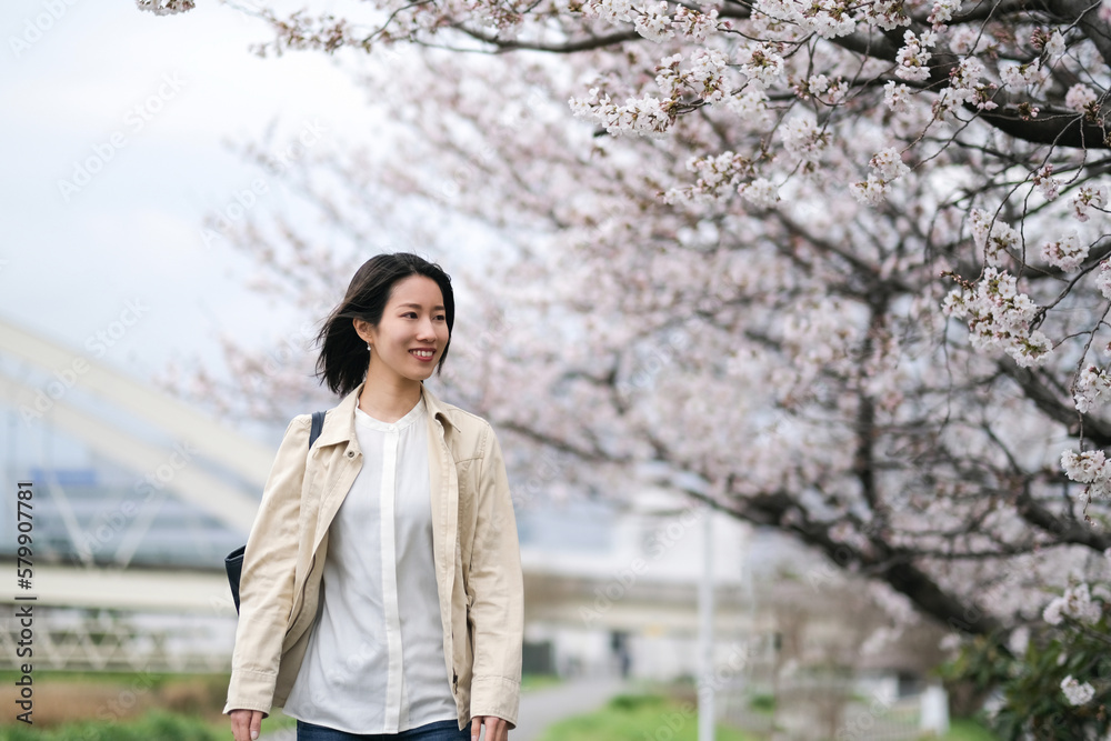 桜の咲く道を歩く女性 桜の咲く道を歩く女性