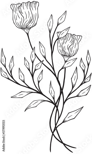 hand drawn vintage line drawing png wild flowers no background