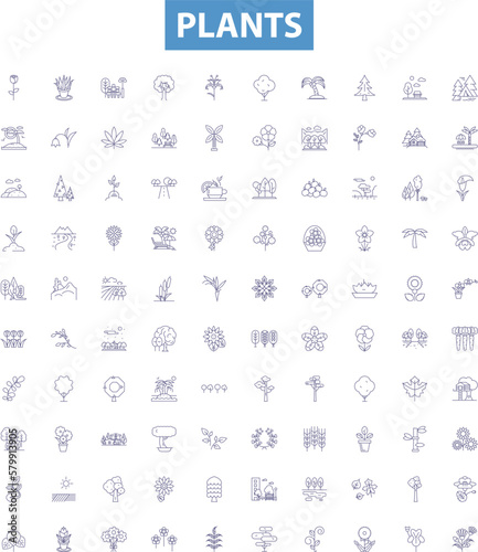 Plants line icons, signs set. Flora, Growth, Photosynthesis, Foliage, Algae, Trees, Shrubs, Petals, Peppers outline vector illustrations.