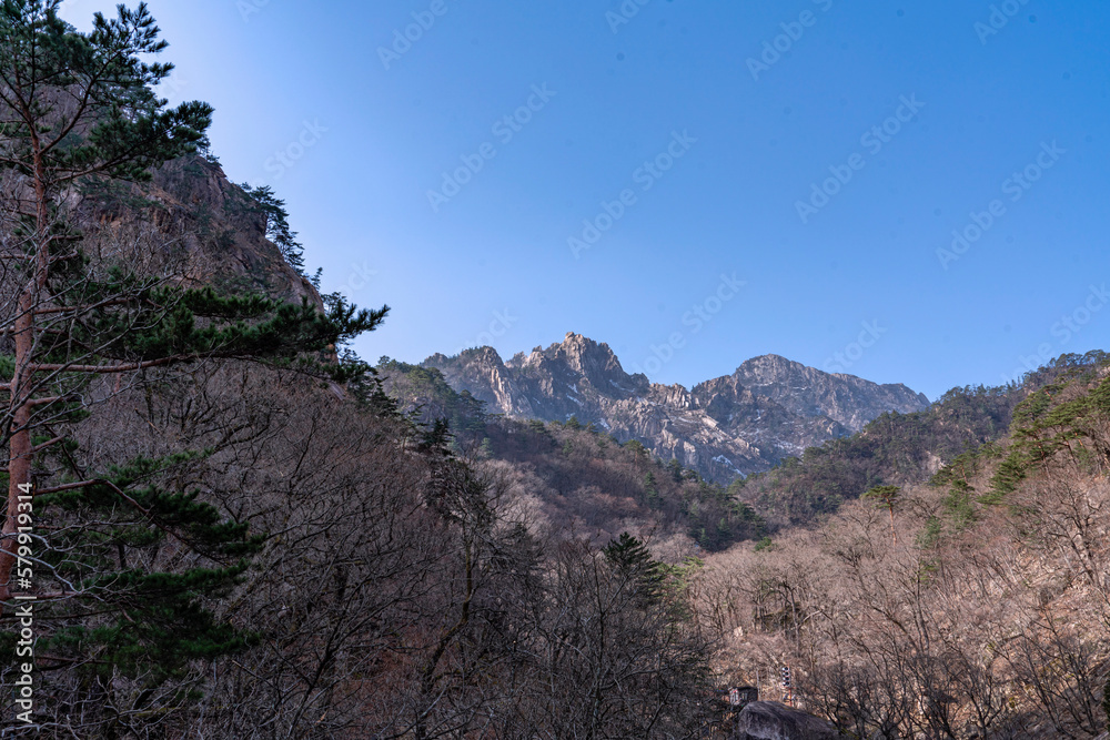The pathway along valley with water of brook -Seolacksan national park-Sokchogoun, Gangwondo, Korea