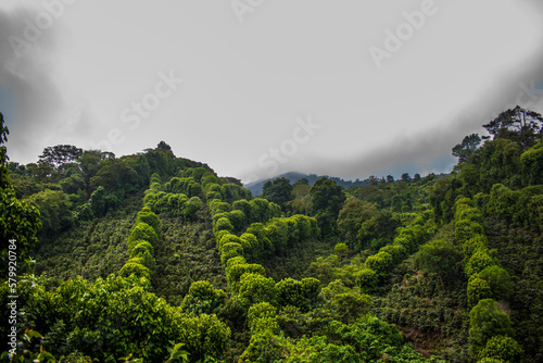 view of the mountains
