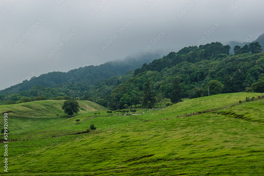 Fototapeta premium landscape with clouds