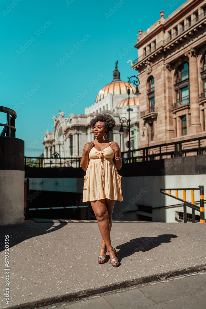 beautiful black girl traveling alone