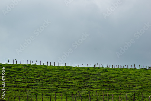 green field and sky