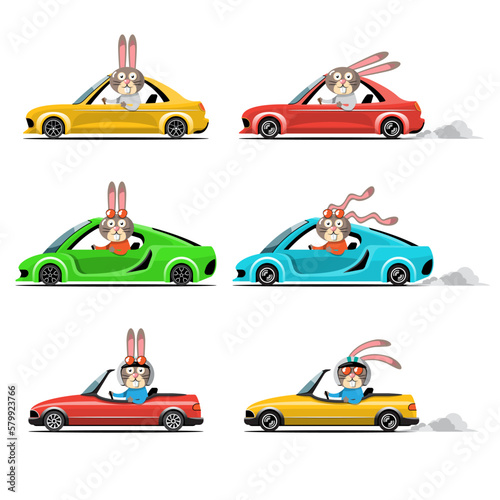 Animal driver  pets vehicle and rabbit happy in car.