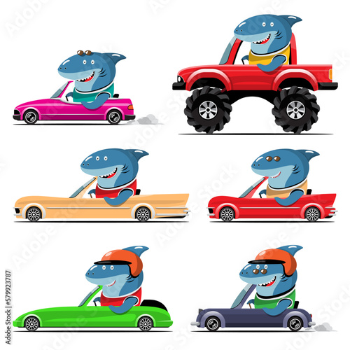 nimal driver, pets vehicle and shark  happy in car.