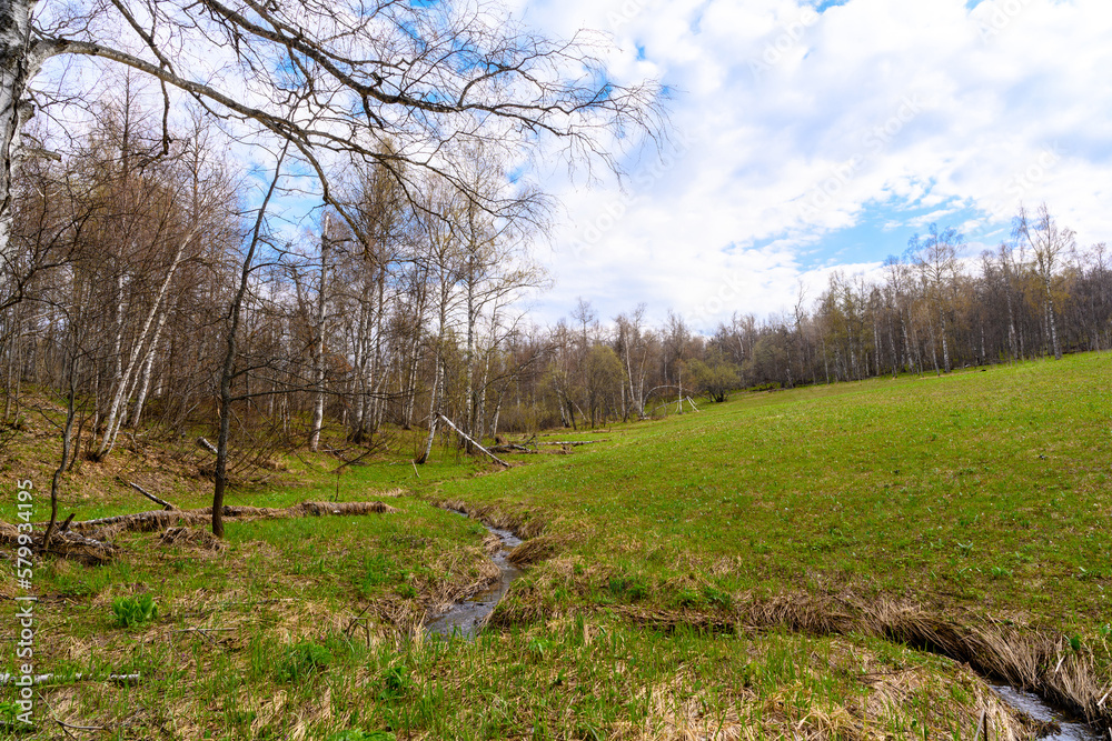 South Ural rough stream with a unique landscape, vegetation and diversity of nature. South Ural rough stream with a unique landscape, vegetation and diversity of nature.