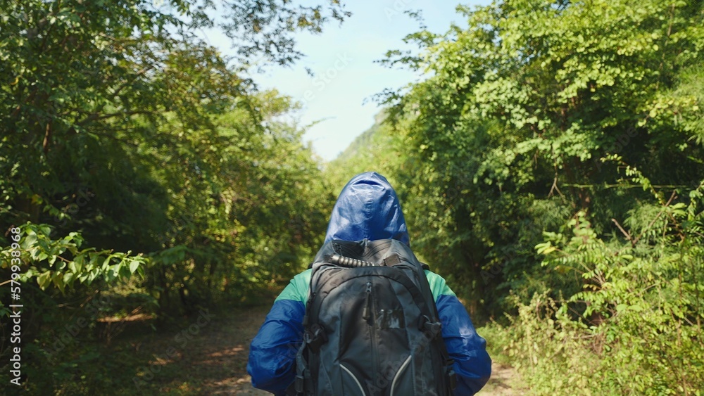 Woman hiker in blue raincoat with backpack walking at the jungle