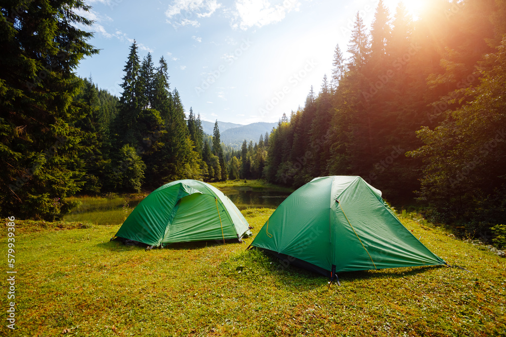 Camping and tents under the spruce forest near water in morning.