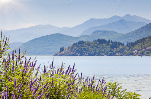 Breathtaking summer scene of the Skadar Lake National Park  Montenegro  Europe.
