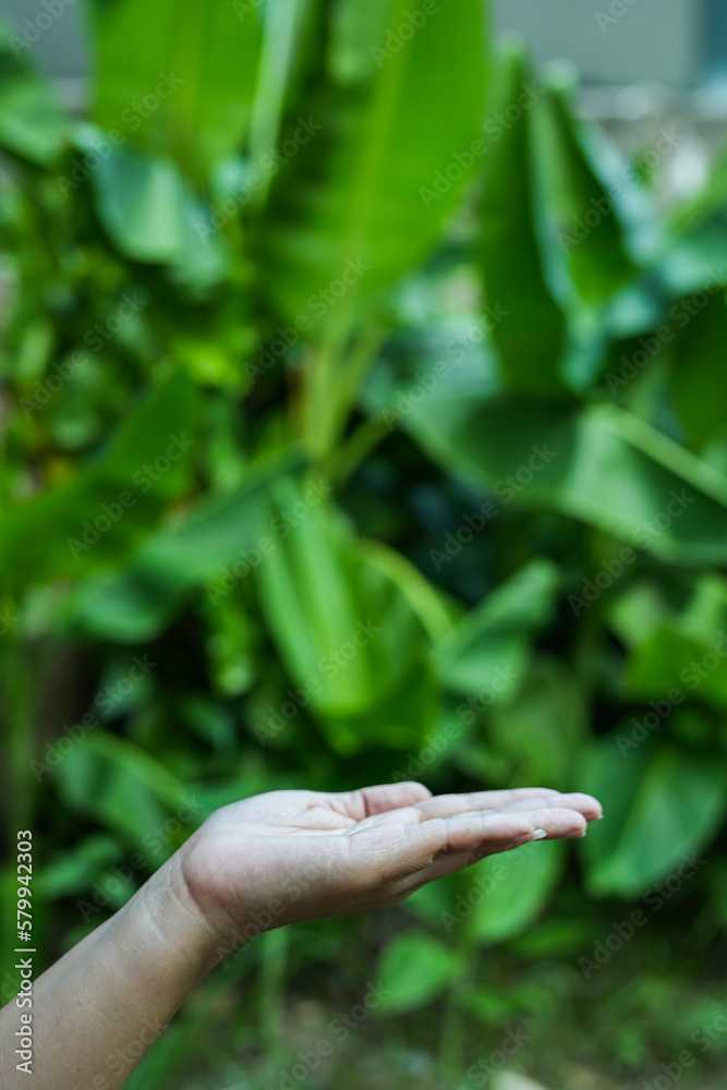 Technology, Hands holding globe of tropical nature summer background, Technology, Hands holding globe of tropical nature summer background,