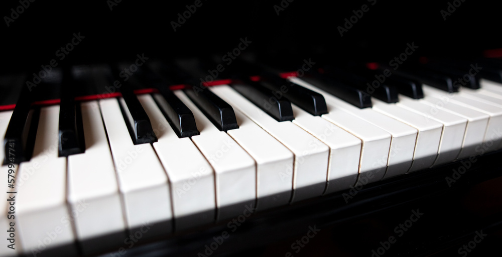 Black and white piano keys. Musical instrument Black and white piano keys. Musical instrument