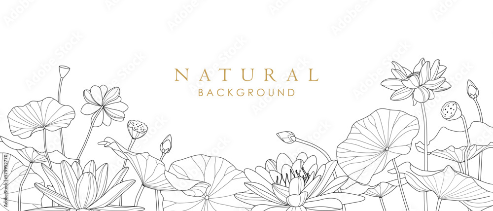 Lotus line art background.Luxury print for background, cover, card, invitation, business style template.