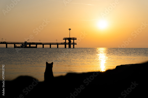 Sunrise on the beach