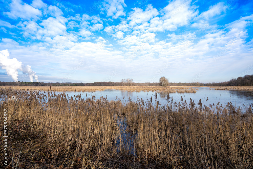 Winterstille in der Oberlausitzer Heide- und Teichlandschaft bei Klitten 1 Winterstille in der Oberlausitzer Heide- und Teichlandschaft bei Klitten 1