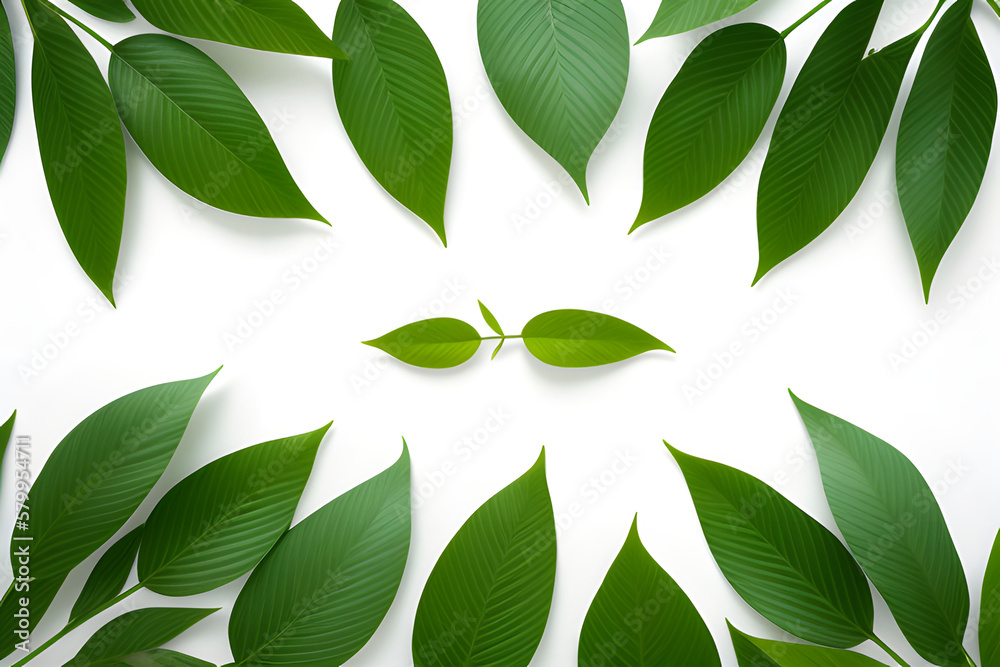 Creative layout made of the branch with green leaves on a white background. Flat lay. Nature concept.