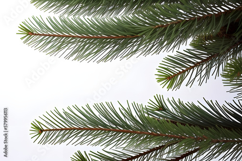 Creative Christmas tree concept. Fir tree on white background. Minimal winter holiday idea. Merry Christmas and happy New Year greeting card.