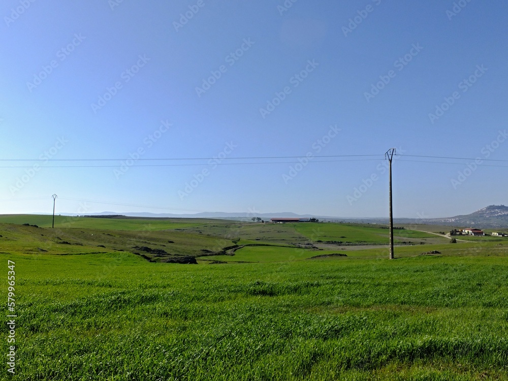 Typical Extremadura landscape in rural regions - Spain Typical Extremadura landscape in rural regions - Spain