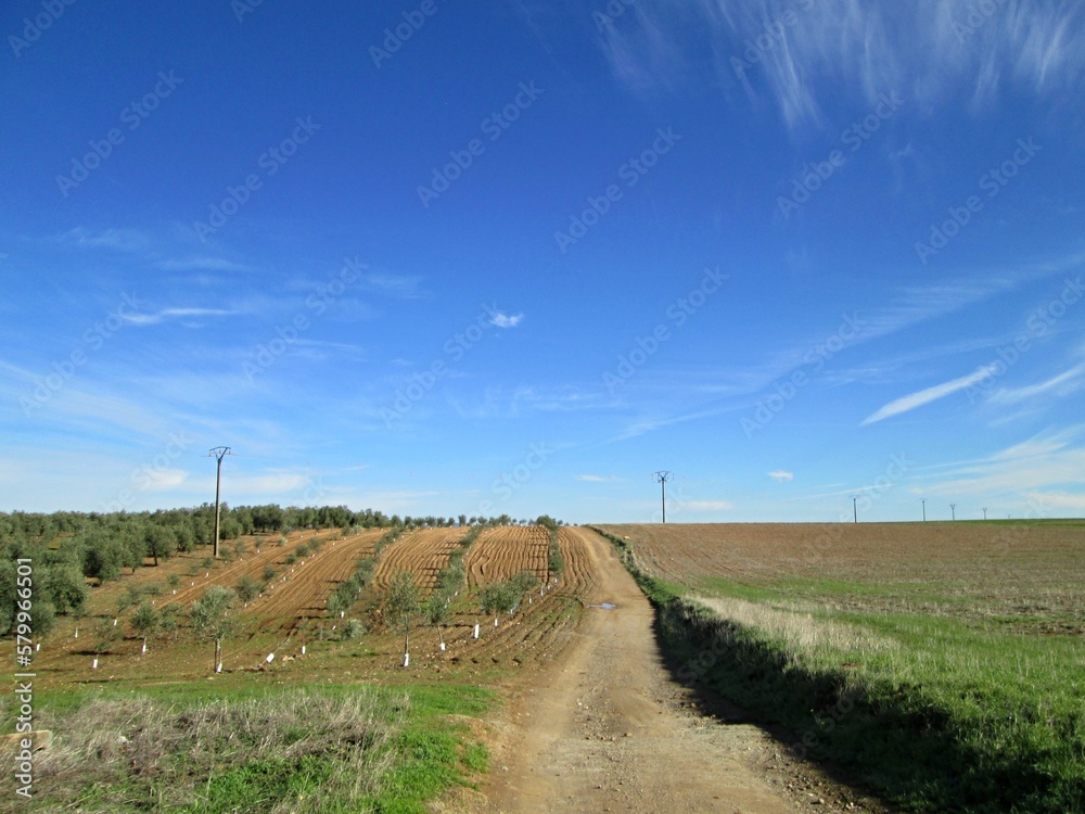 Typical Extremadura landscape in rural regions - Spain Typical Extremadura landscape in rural regions - Spain