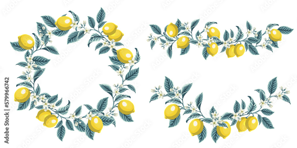 set botanical border made of branches, leaves, olives and lemons. Decorative element for summer cards or invitations, restaurant menu, food or organic cosmetics