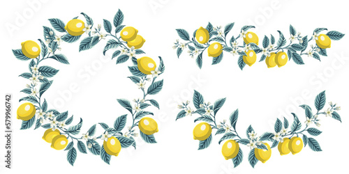 set botanical border made of branches  leaves  olives and lemons. Decorative element for summer cards or invitations  restaurant menu  food or organic cosmetics