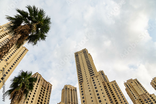The wide-angle view of Dubai s modern architecture  alongside palm trees