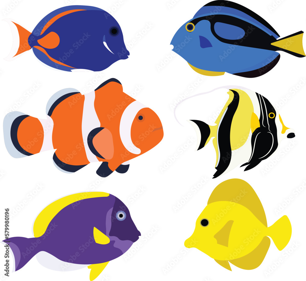 Fototapeta premium Aquarium fish