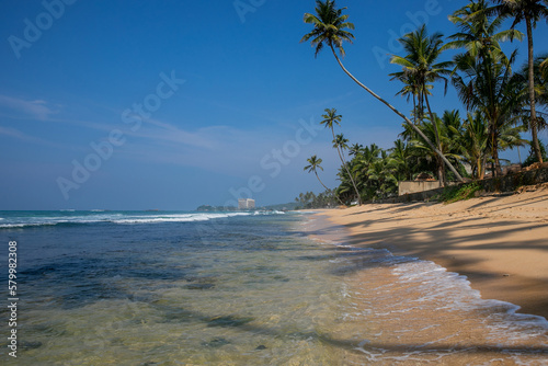 Coast of Indian ocean in Sri Lanka sunny day  blue sky  waves  palms and sand