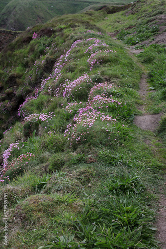 Coastal path between Peterhead, Boddam, Bullers of Buchan and Cruden bay - Aberdeenshire - Scotland - UK photo