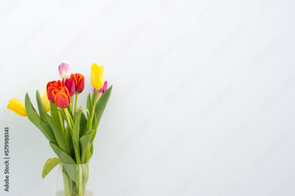 bouquet of red, yellow, and purple tulips on a light blue background. close-up. banner bouquet of red, yellow, and purple tulips on a light blue background. close-up. banner