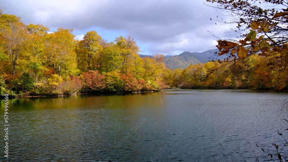 鎌池の山並 鎌池の山並