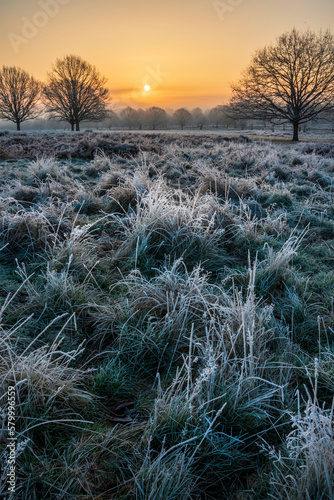 Stunning Winter sunrise lan...