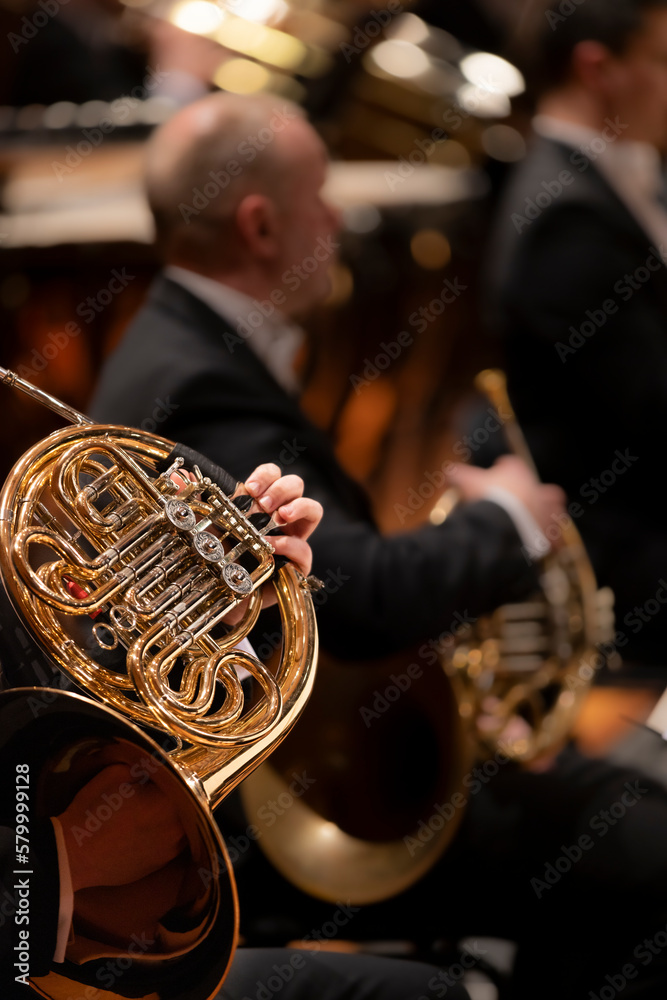 Obraz premium A musician playing the French horn during a live classical symphony orchestra performance