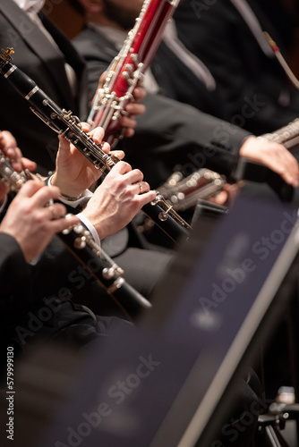 Clarinet players of a classical symphony orchestra are playing in a live performance