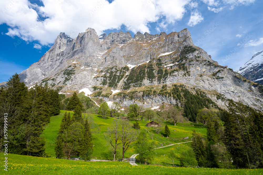 Alps in Grindelwald village in Switzerland