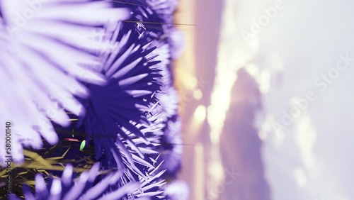 3D Background Vertical Video, Fantasy world, very peri flower plantation, out-of-focus start from the lawn, purple flowers