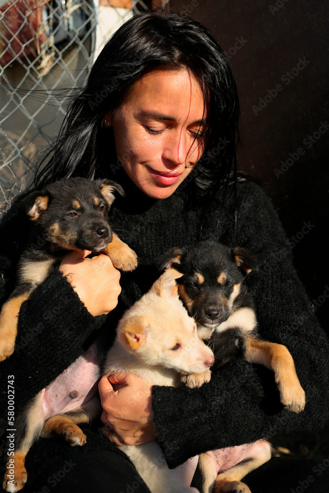 Obraz premium a beautiful girl, in a black sweater, holds street puppies in her arms, the girl takes care of the dogs, feeds them, spends time with them