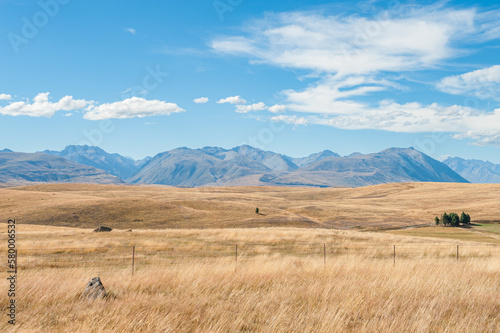 Mackenzie country on South Island is one the most beautiful regions in New Zealand photo