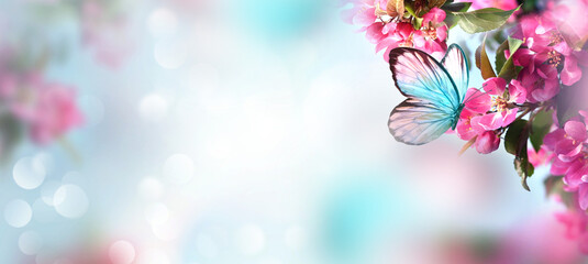 Flowering branches and petals on a blurred background and butterfly.