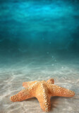 Starfish on the summer beach in sea water. Underwater ocean background.