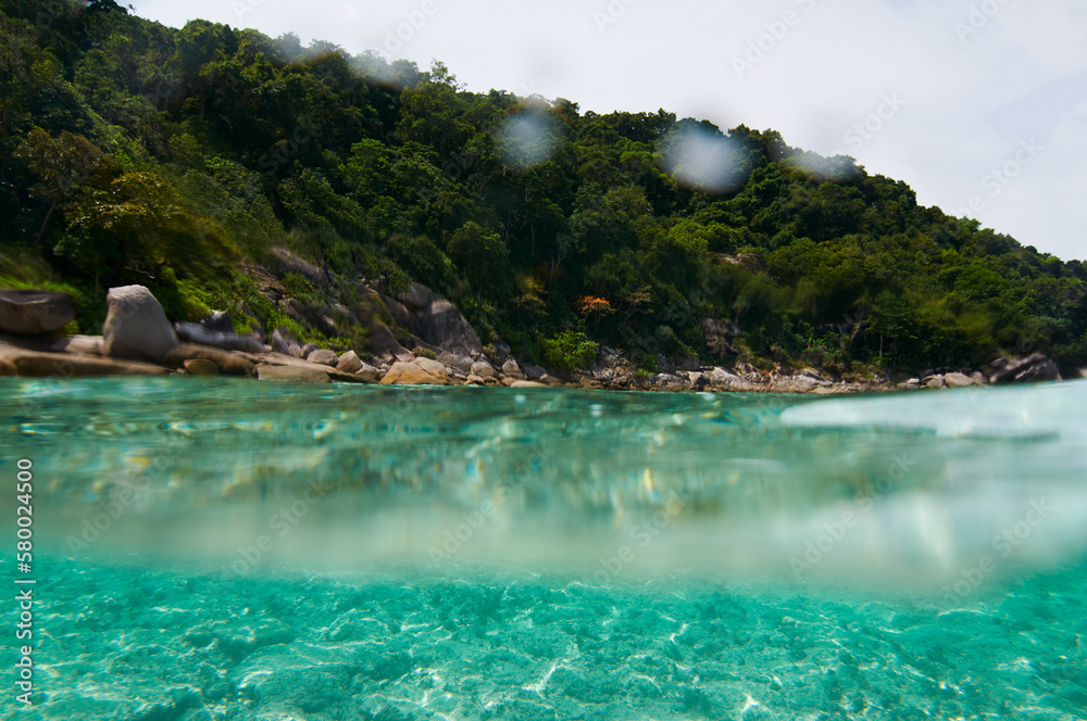 Obraz premium Split view above and below water surface. Tropical bay.