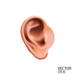 vector illustration human ear design template.